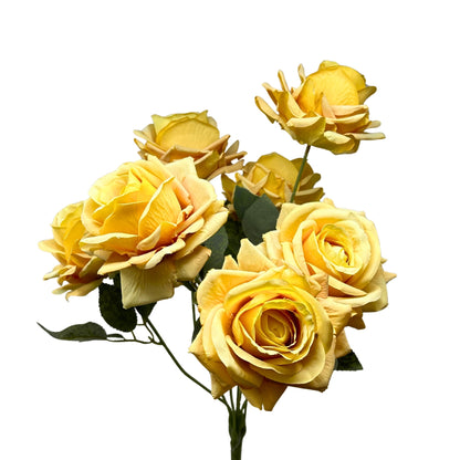 Heirloom Diamond Rose Bush x7 - 22" Saffron | GTE