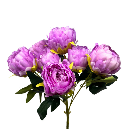 Garden Peony Bush x7 - Lavender - 17" | GTE