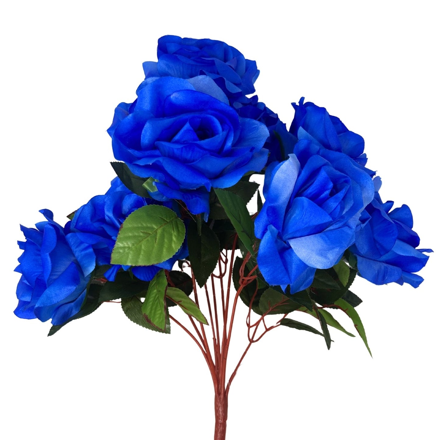 Large Garden Rose Bush x9 - 21" Tall 6" Flower - Blue | GTE