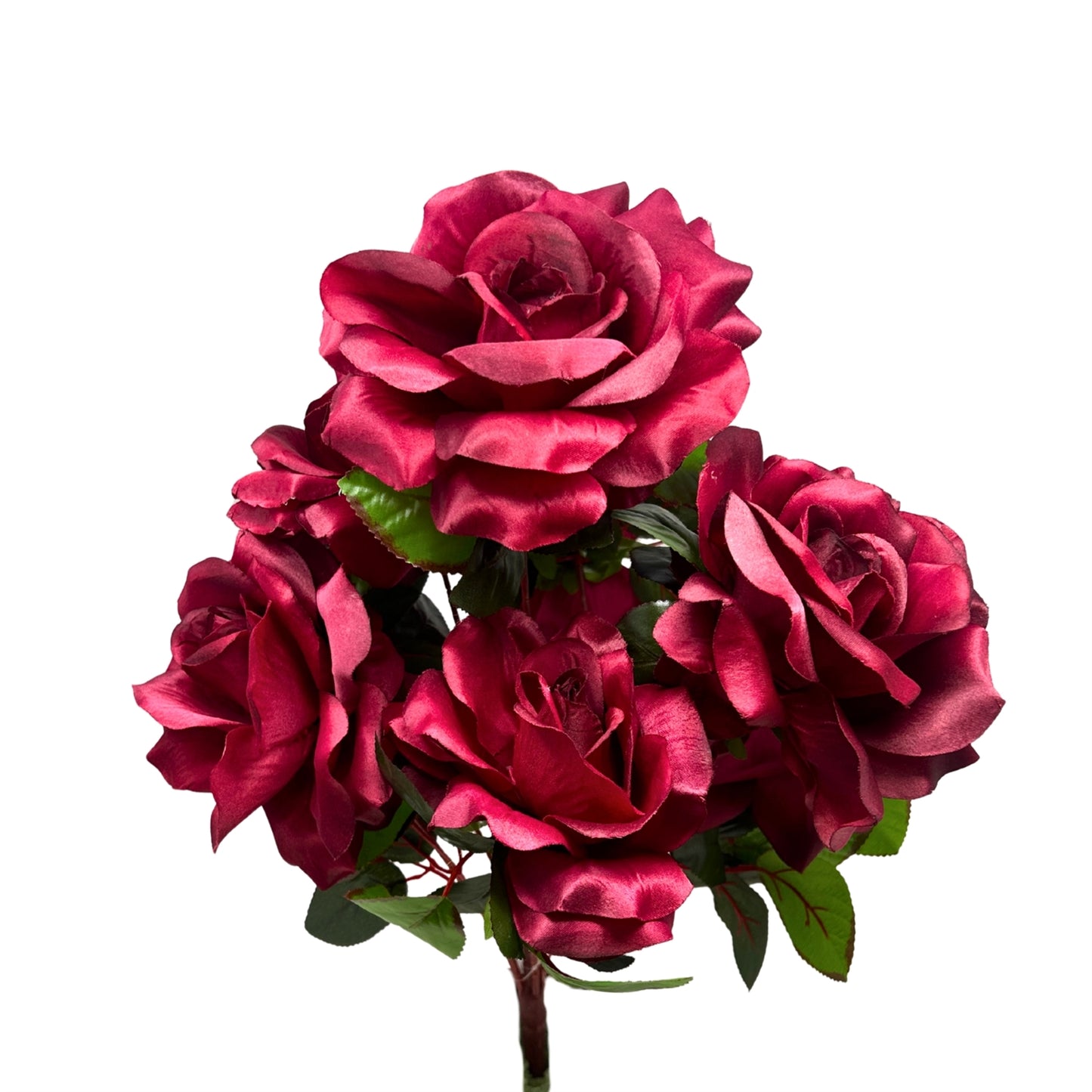 Large Garden Rose Bush x9 - 21" Tall 6" Flower - Burgundy | GTE