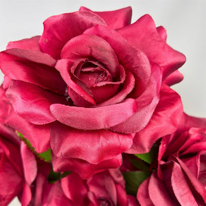 Large Garden Rose Bush x9 - 21" Tall 6" Flower - Burgundy | GTE