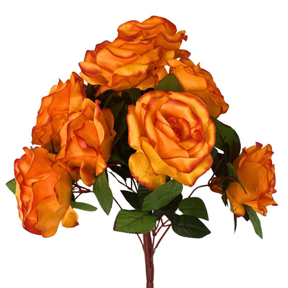 Large Garden Rose Bush x9 - 21" Tall 6" Flower - Orange | GTE