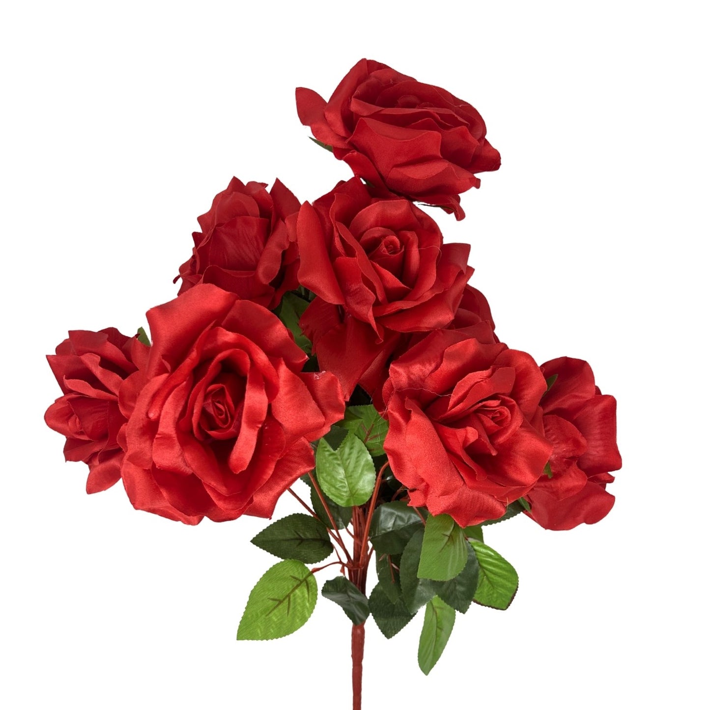 Large Garden Rose Bush x9 - 21" Tall 6" Flower - Red | GTE