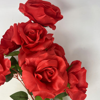 Large Garden Rose Bush x9 - 21" Tall 6" Flower - Red | GTE