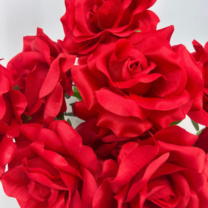Large Garden Rose Bush x9 - 21" Tall 6" Flower - Red | GTE