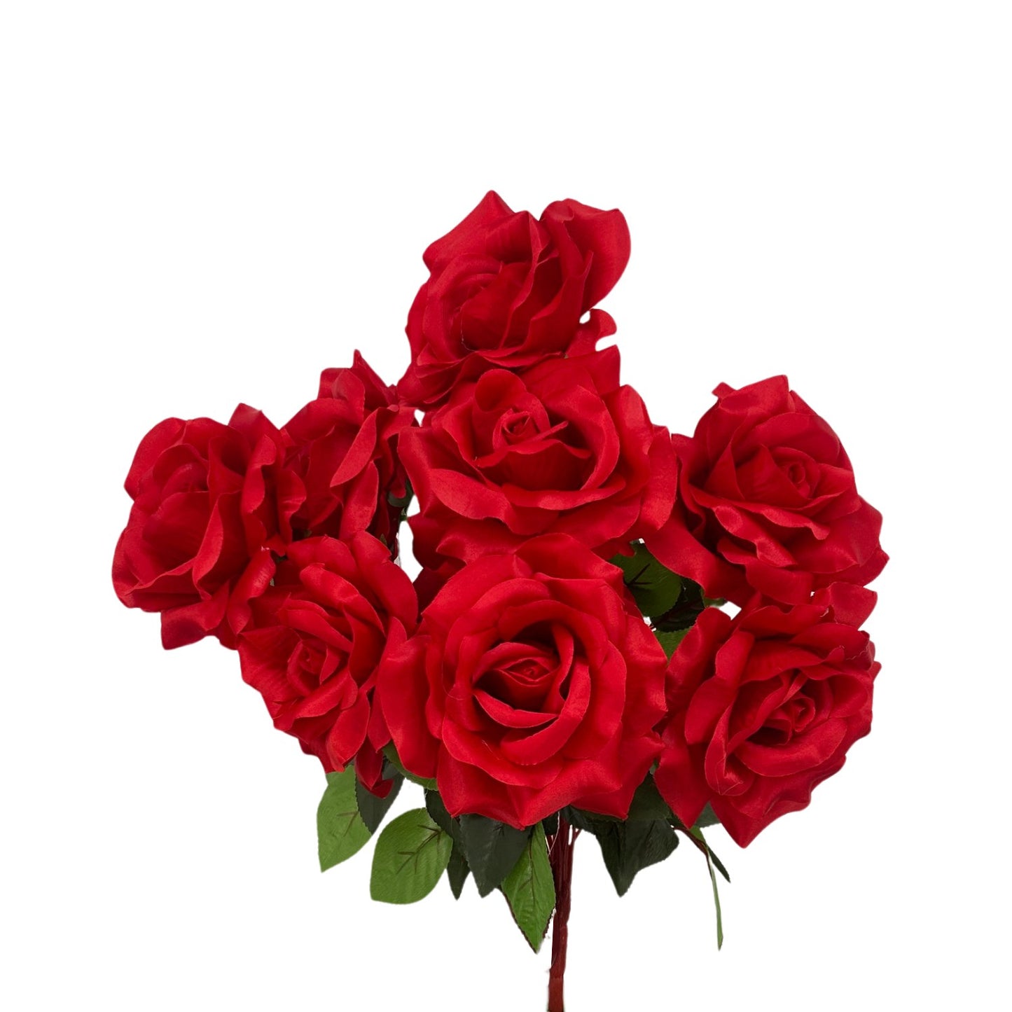 Large Garden Rose Bush x9 - 21" Tall 6" Flower - Red | GTE