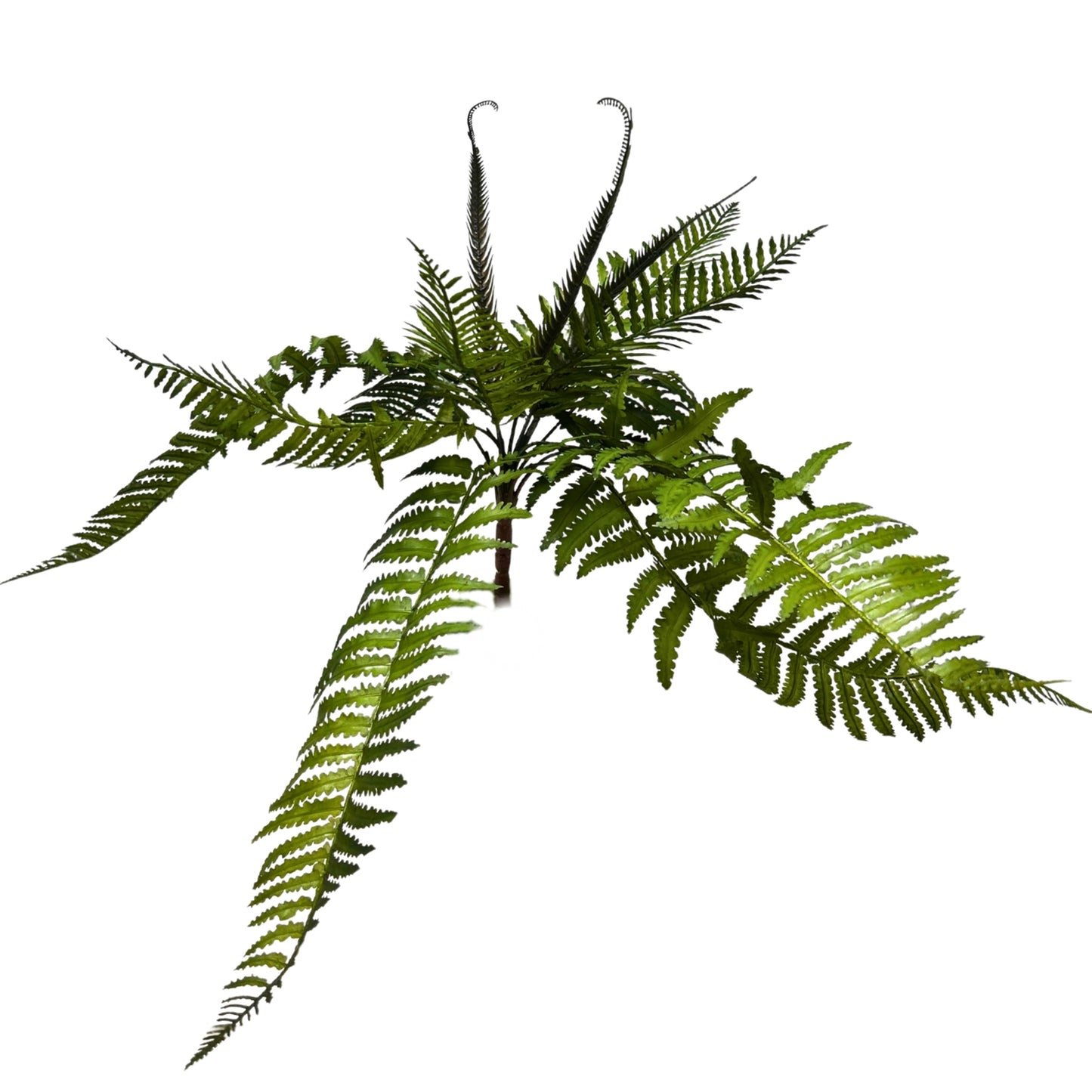 Plastic Mountain Fern Bush - 23" Deep Green | GTE
