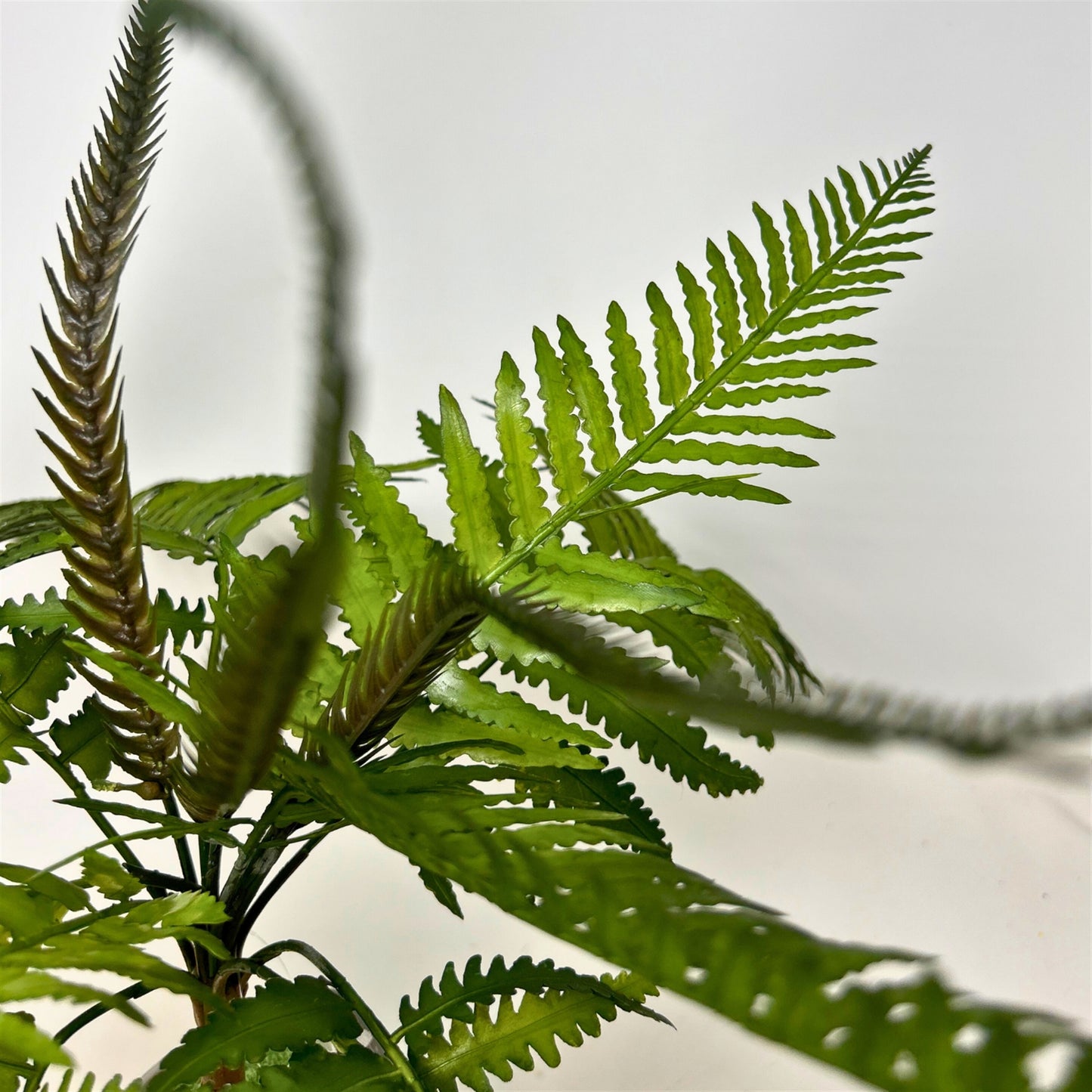 Plastic Mountain Fern Bush - 23" Deep Green | GTE