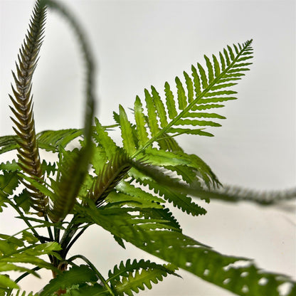 Plastic Mountain Fern Bush - 23" Deep Green | GTE