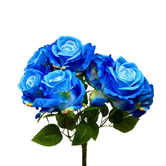 Large Hybrid Rose Bush x7 - Blue 17" | GTE