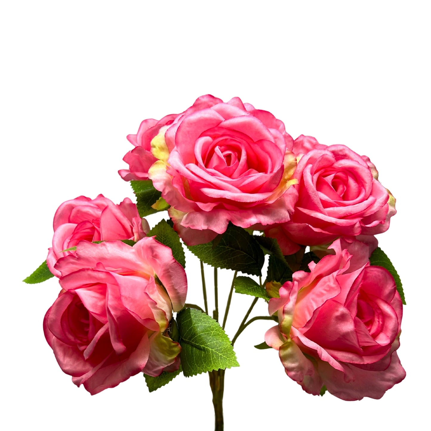 Large Hybrid Rose Bush x7 - Pink 17" | GTE