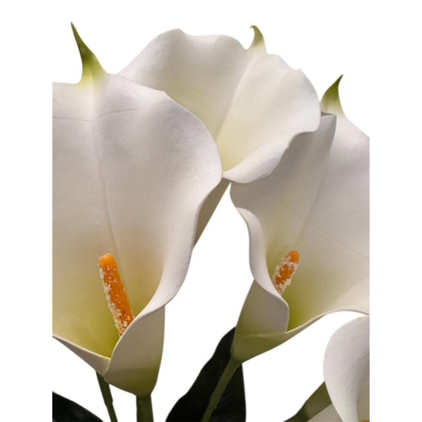 Large EVA Foam Calla Lily Bush x7 - Cream 24" | GTE