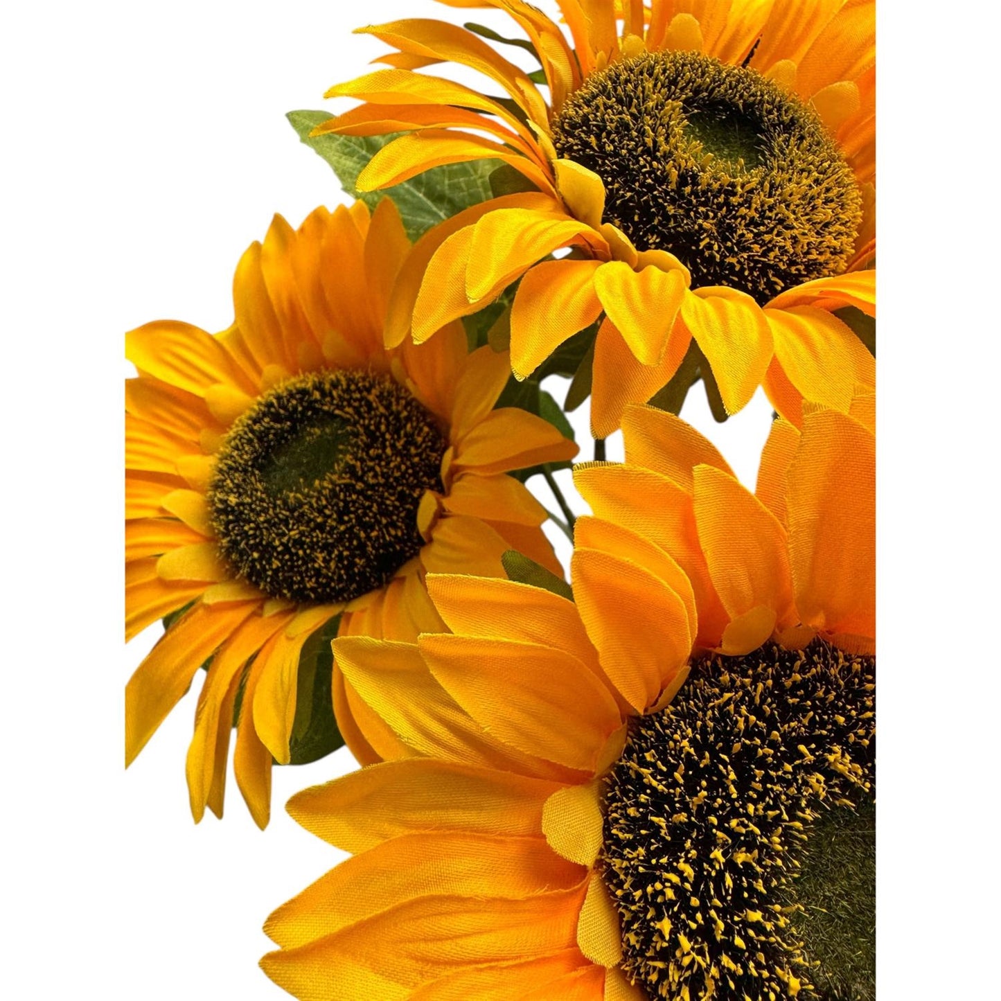 Farm Sunflower Bush x7 - 18" Yellow