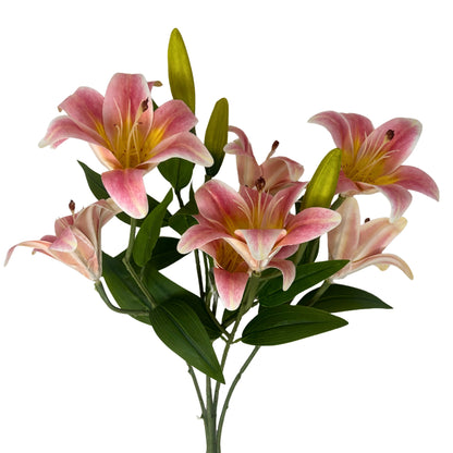 Soft Touch Lily Bush x10 Blush Pink - 22" | GTE