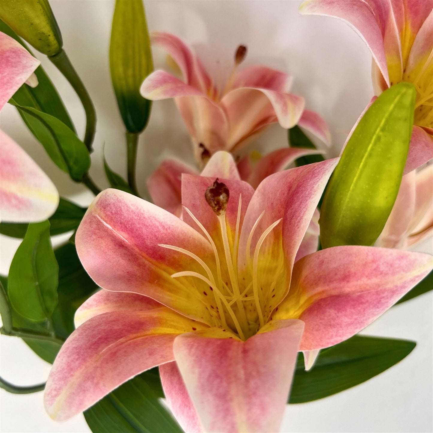 Soft Touch Lily Bush x10 Blush Pink - 22" | GTE