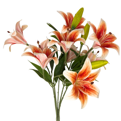 Soft Touch Lily Bush x10 Orange - 22" | GTE