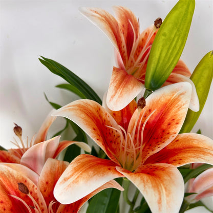 Soft Touch Lily Bush x10 Orange - 22" | GTE