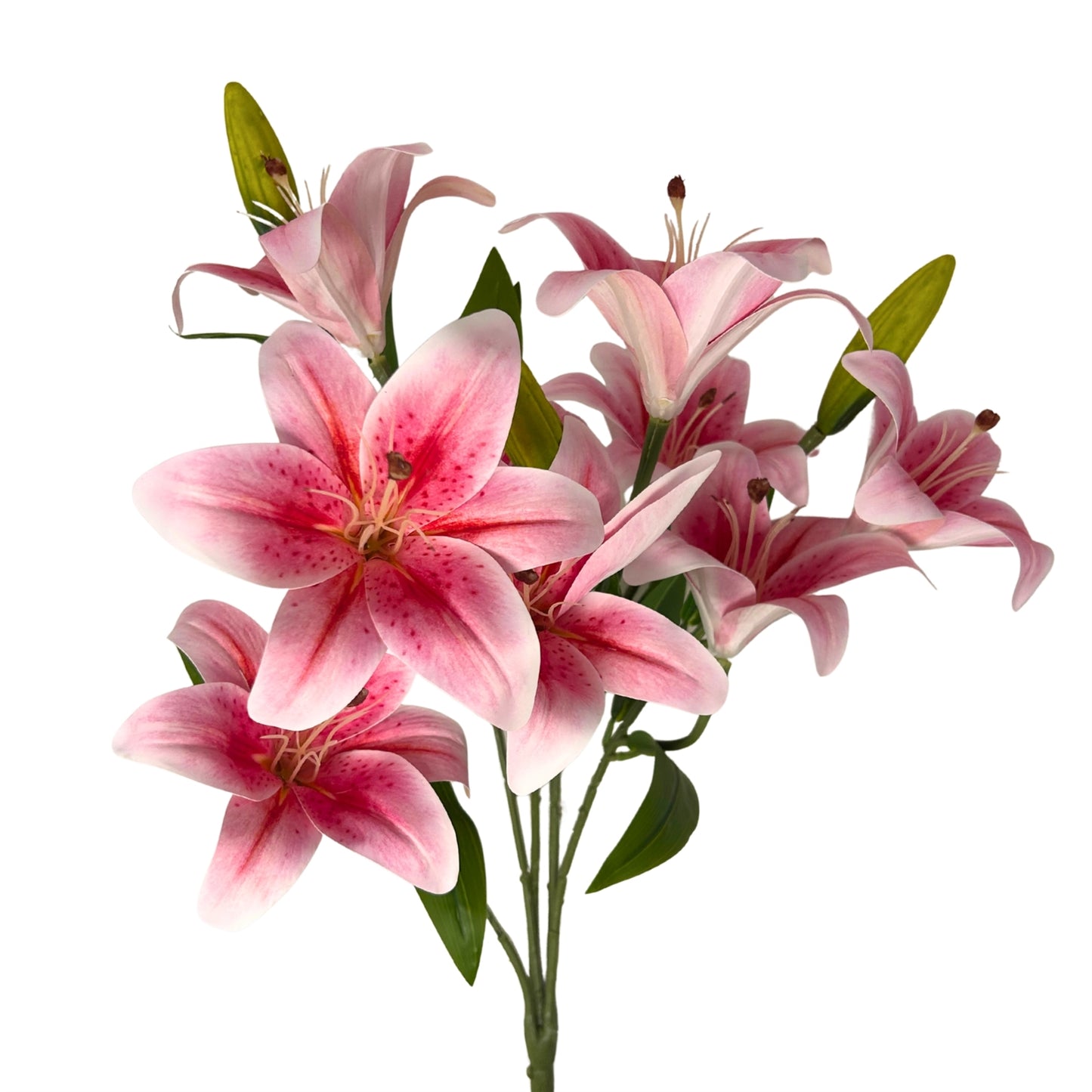 Soft Touch Lily Bush x10 Rubrum - 22" | GTE