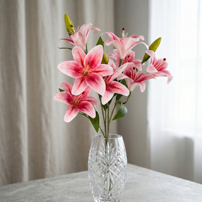Soft Touch Lily Bush x10 Rubrum - 22" | GTE