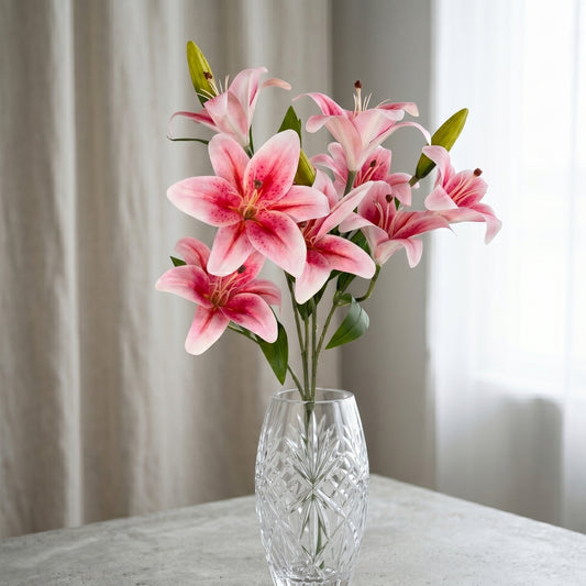 Soft Touch Lily Bush x10 Rubrum - 22" | GTE