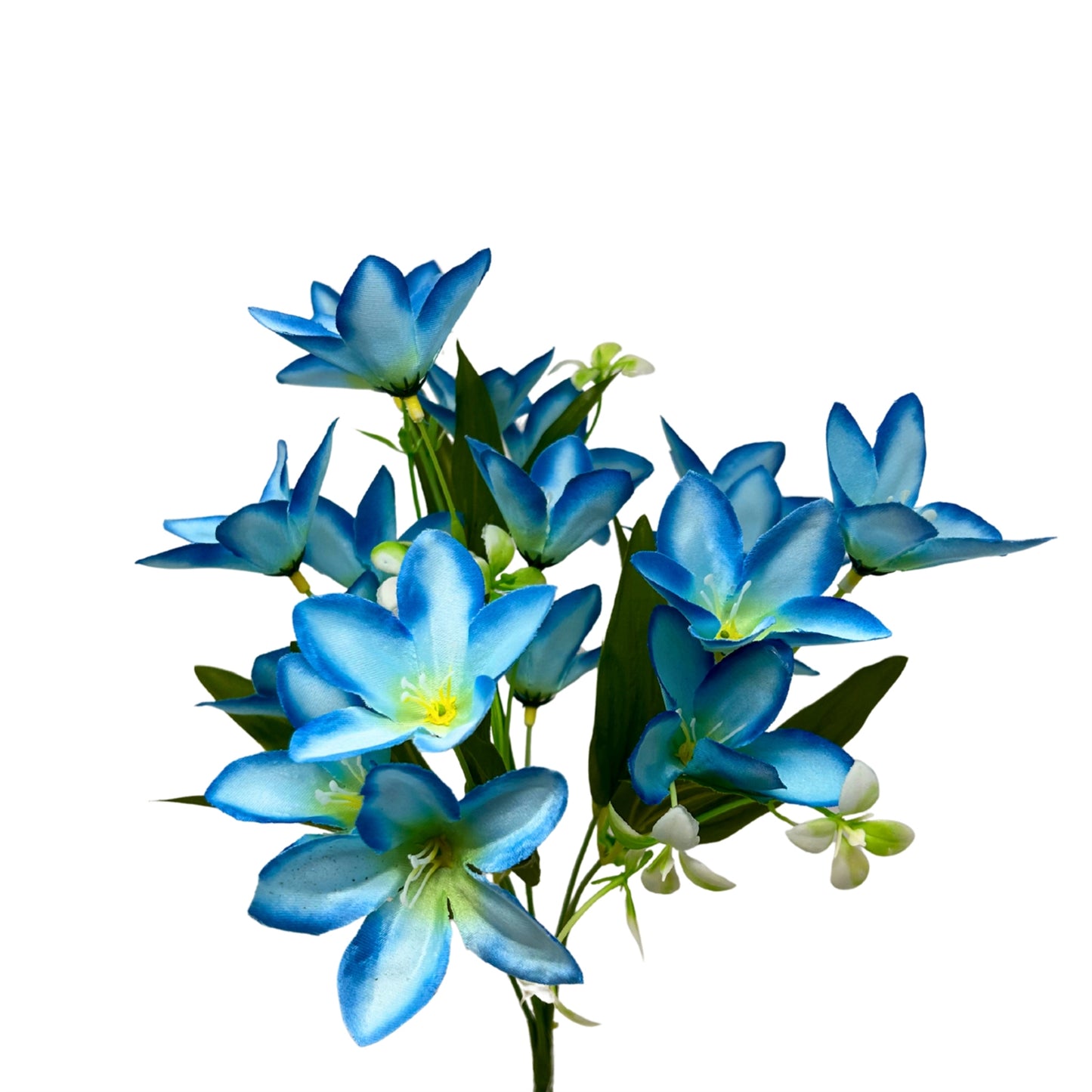 Dew Drop Bush x6 - Blue - 13" | GTE