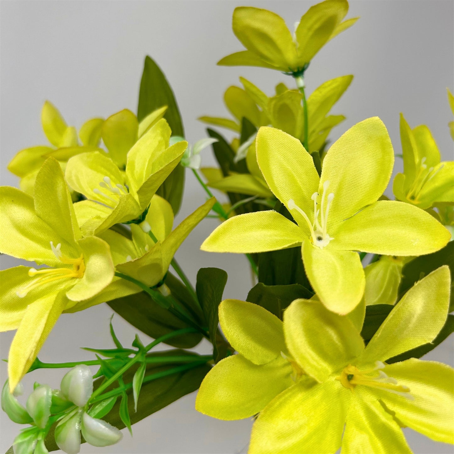 Dew Drop Bush x6 - Green - 13" | GTE