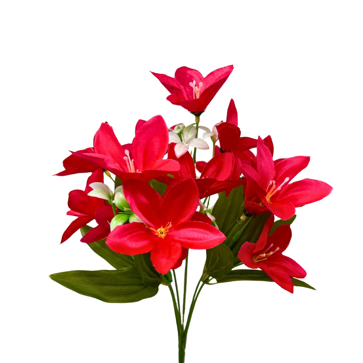 Dew Drop Bush x6 - Hot Pink - 13" | GTE