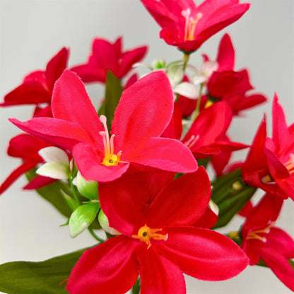 Dew Drop Bush x6 - Hot Pink - 13" | GTE