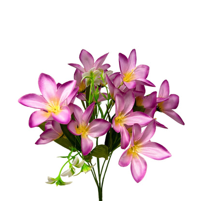 Dew Drop Bush x6 - Orchid - 13" | GTE