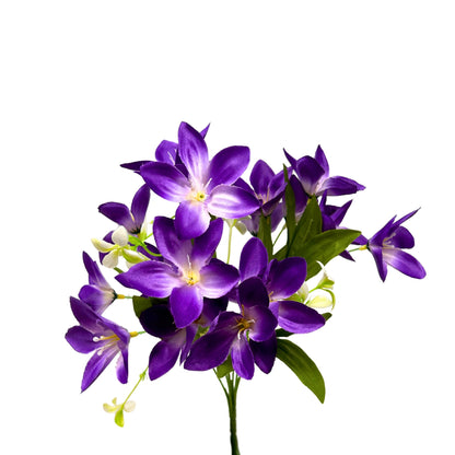 Dew Drop Bush x6 - Purple - 13" | GTE