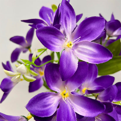 Dew Drop Bush x6 - Purple - 13" | GTE