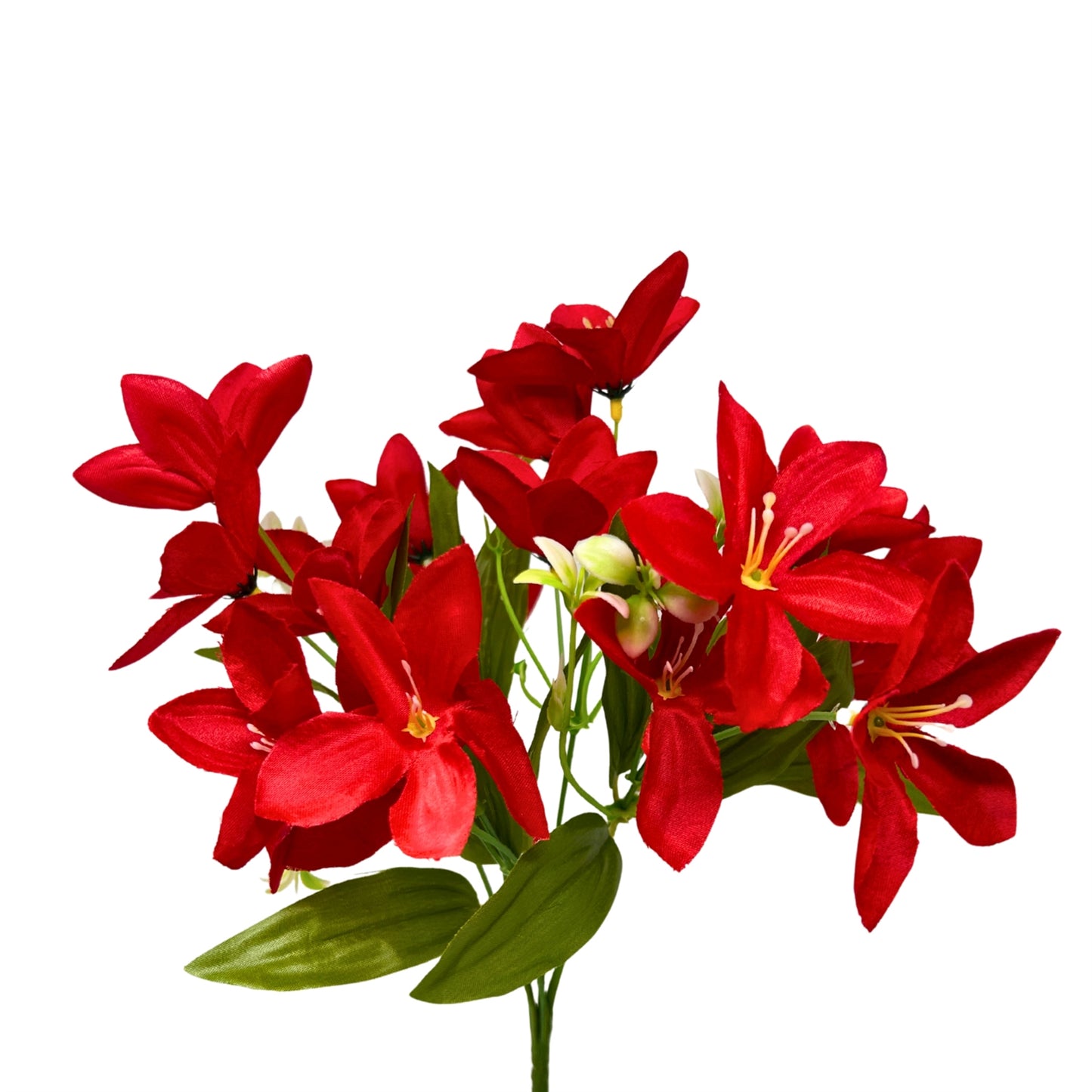 Dew Drop Bush x6 - Red - 13" | GTE