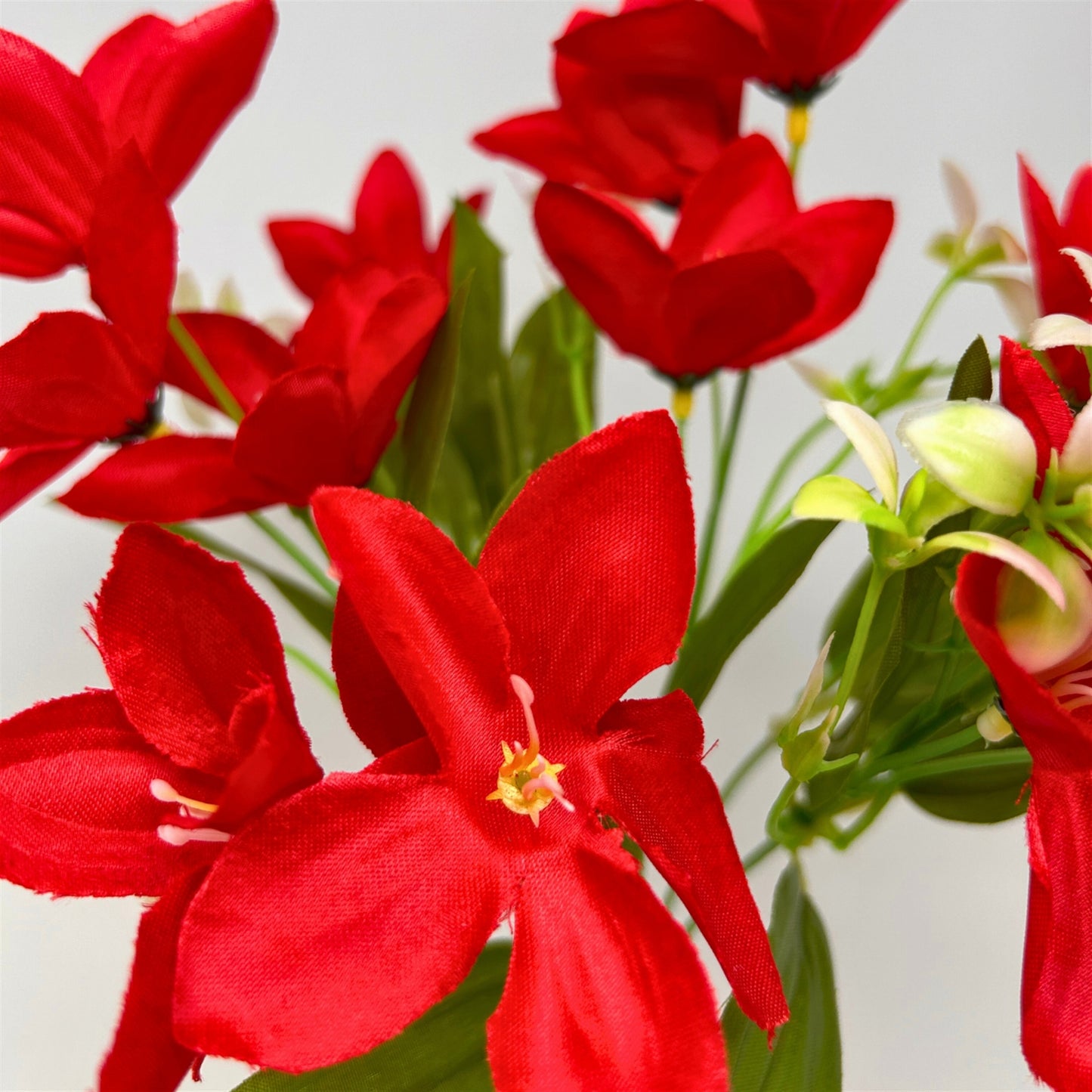 Dew Drop Bush x6 - Red - 13" | GTE