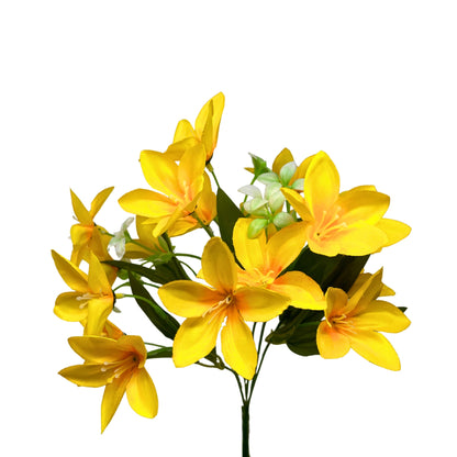 Dew Drop Bush x6 - Yellow - 13" | GTE