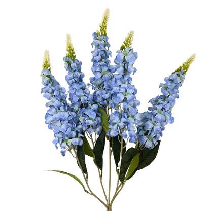 Veronica Spike Bush x5 - Blue - 23" | GTE