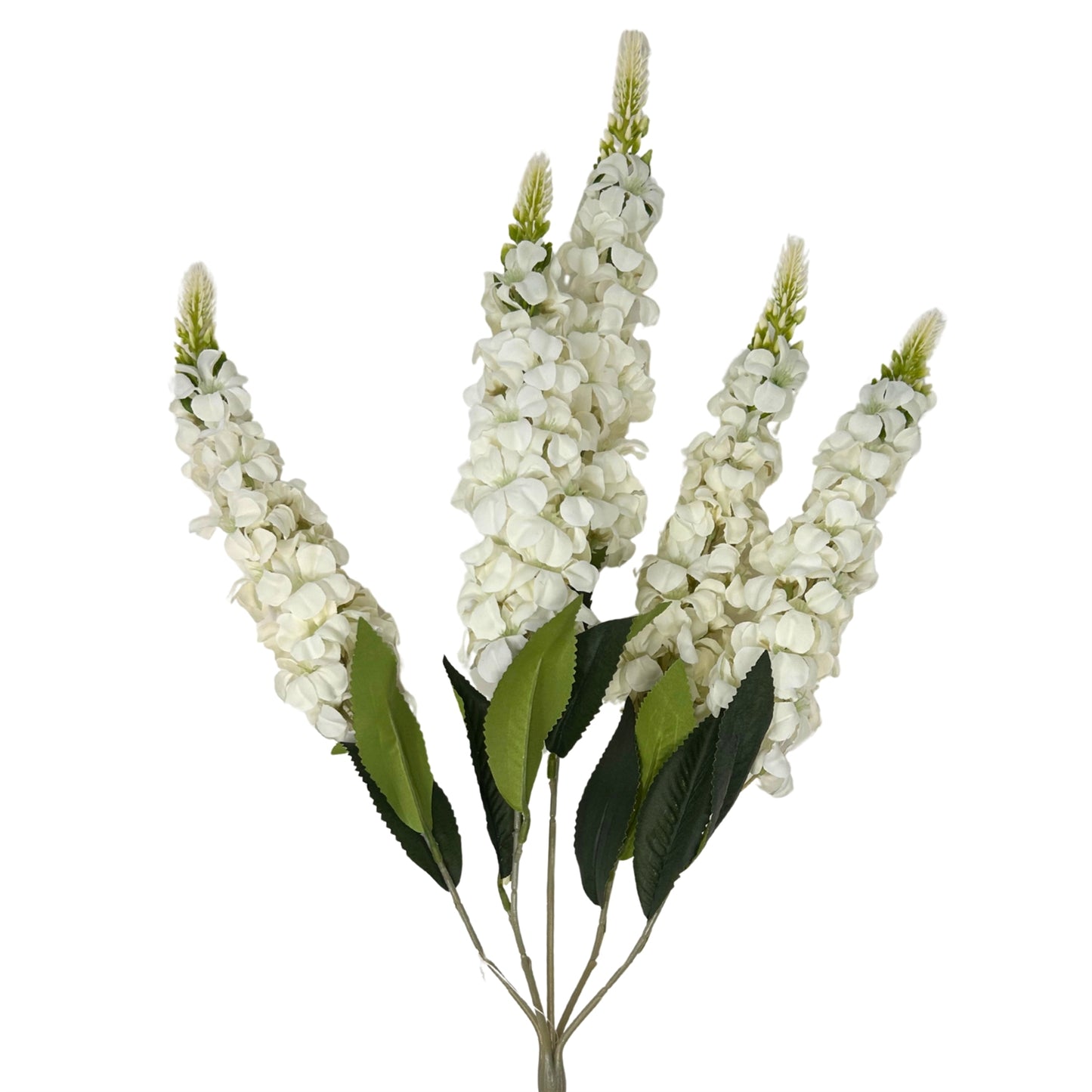 Veronica Spike Bush x5 - Cream - 23" | GTE