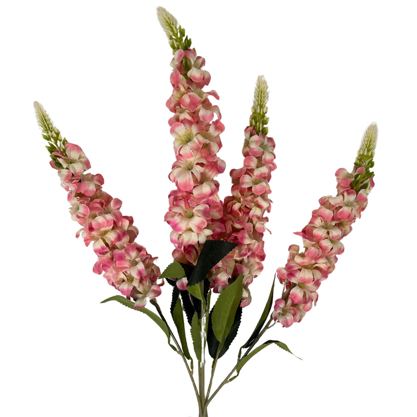 Veronica Spike Bush x5 - Cream/Pink - 23" | GTE