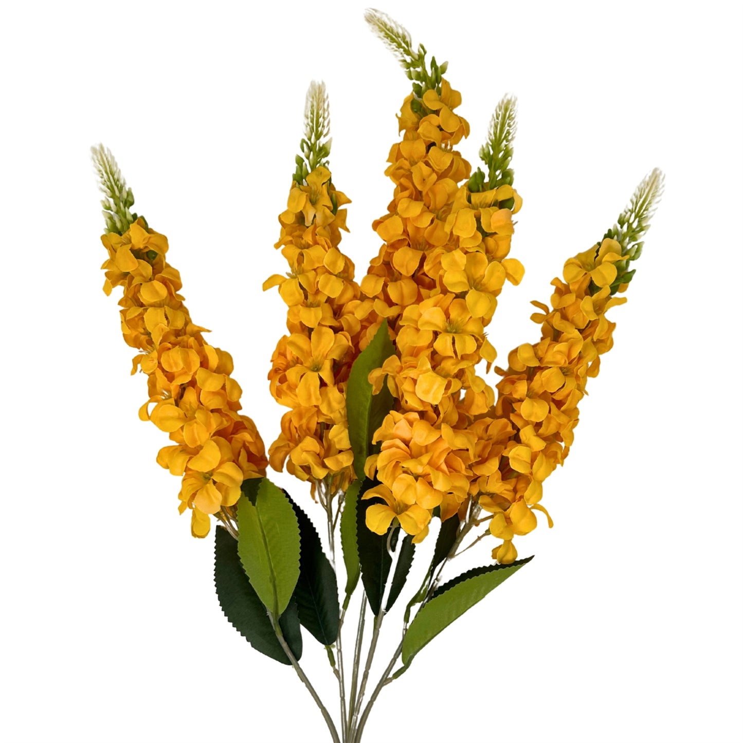 Veronica Spike Bush x5 - Golden - 23" | GTE