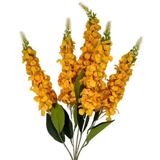 Veronica Spike Bush x5 - Golden - 23" | GTE