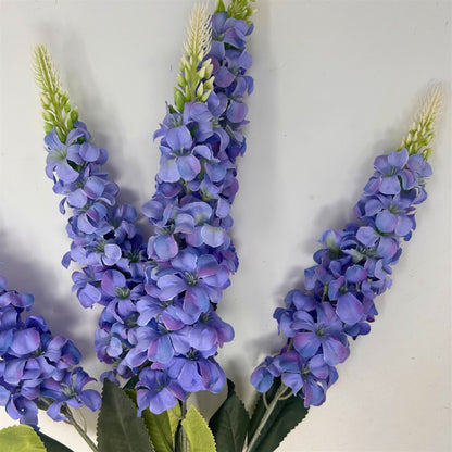 Veronica Spike Bush x5 - Periwinkle - 23" | GTE