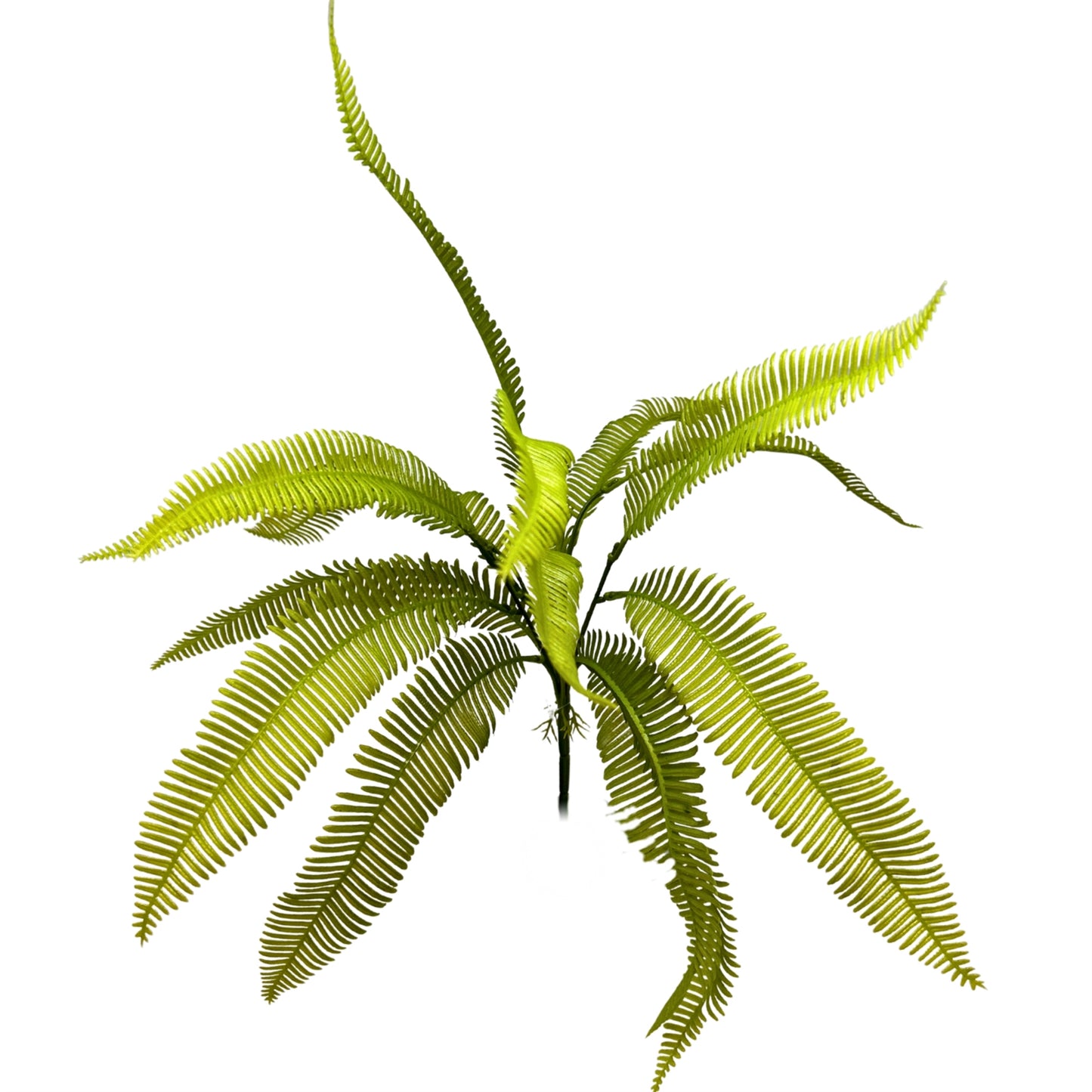 Meadow Fern Bush 18" - Spring Green | GTE