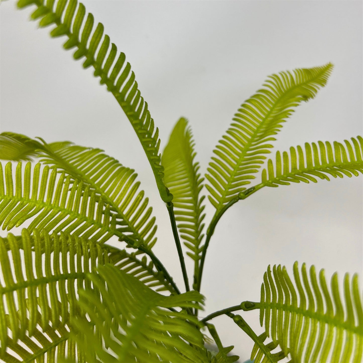 Meadow Fern Bush 18" - Spring Green | GTE