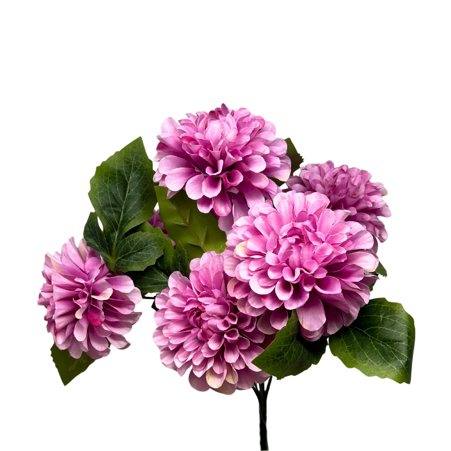 Pom Pom Dahlia Bush x7 - Lavender - 17" | GTE