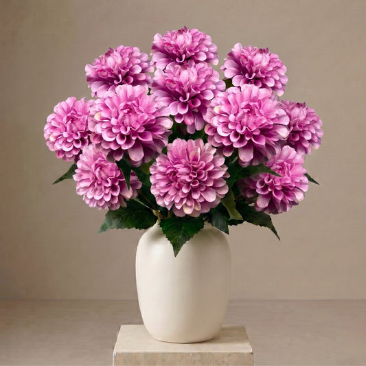 Pom Pom Dahlia Bush x7 - Lavender - 17" | GTE
