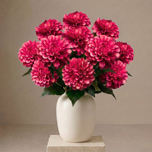 Pom Pom Dahlia Bush x7 - Raspberry - 17" | GTE