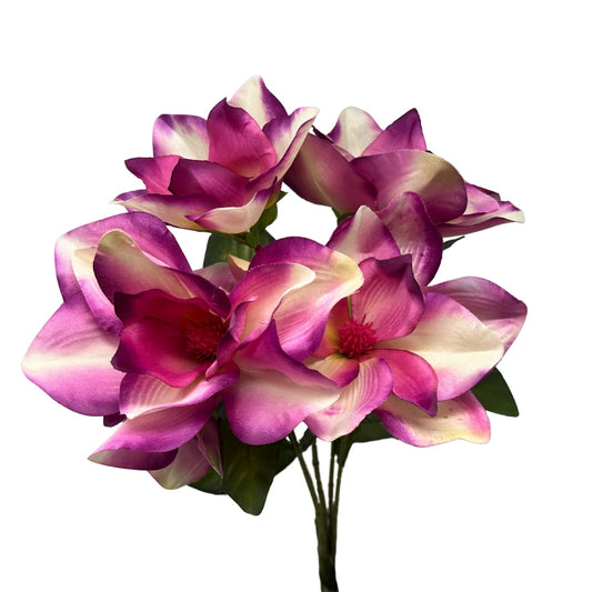 Pacific Magnolia Bush x5 - Orchid 19" | GTE