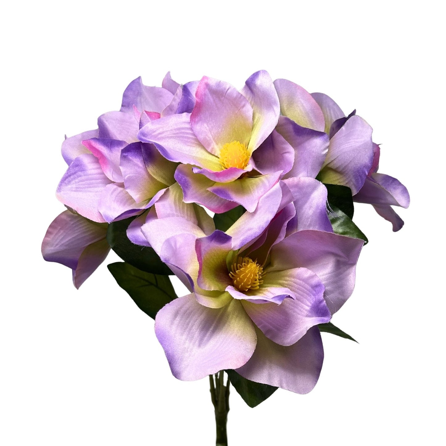 Pacific Magnolia Bush x5 - Purple/Lavender 19" | GTE