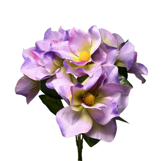 Pacific Magnolia Bush x5 - Purple/Lavender 19" | GTE
