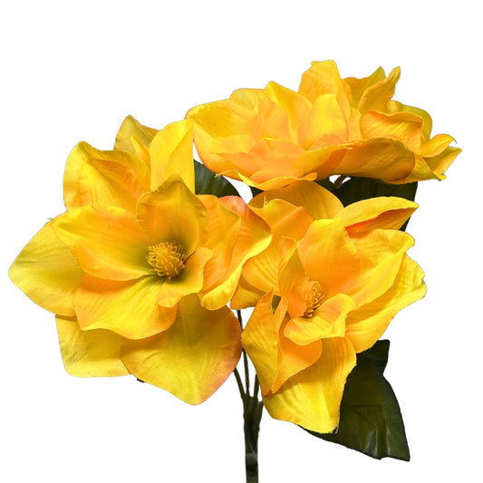 Pacific Magnolia Bush x5 -Yellow - 19" | GTE