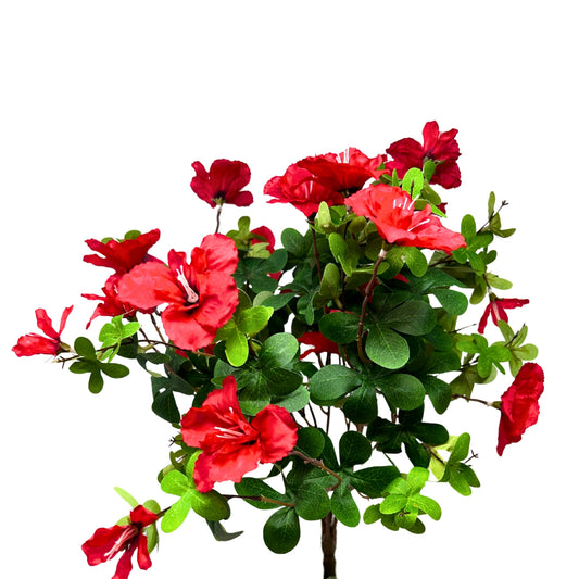 Azaela Bush 18" - Red | GTE